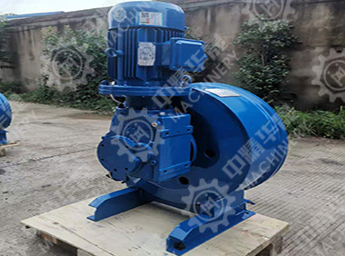 立式齒輪減速機軟管泵 