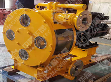 非標定制軟管泵 